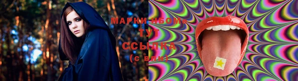 бошки Богородицк