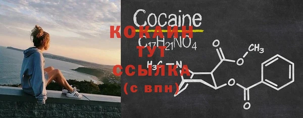 стафф Богданович