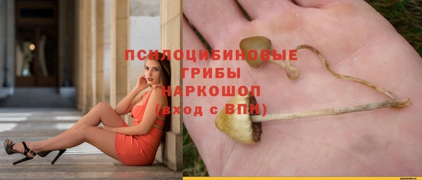 стафф Богданович