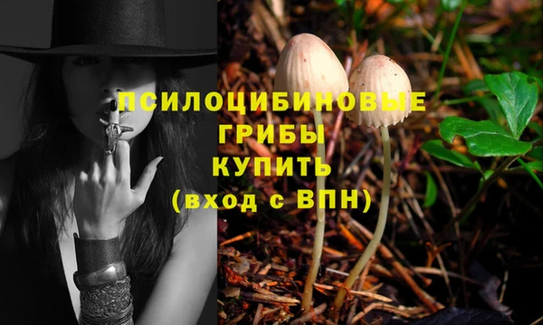 стафф Богданович