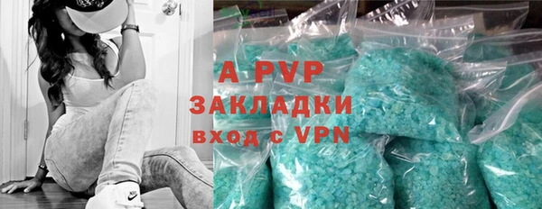 стафф Богданович